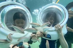 Quảng Ninh dự kiến khai thác 62 sản phẩm du lịch trong năm 2024