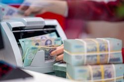 Ngân hàng Nhà nước hút 115.000 tỷ đồng tín phiếu trong bối cảnh áp lực tỷ giá USD/VND tăng