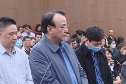 Xét xử vụ án Tân Hoàng Minh: Chủ tịch Đỗ Anh Dũng được đề nghị mức án thấp hơn trước đó