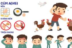Nam sinh Trường Đại học Nha Trang dương tính với cúm A/H5, hơn 70 người trong diện cần theo dõi