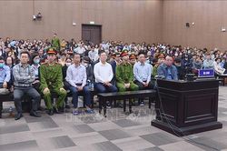 Xét xử vụ án Tân Hoàng Minh: Ranh giới giữa gian dối và chiếm đoạt