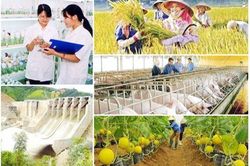 Vì sao nhiều dự án ngành Nông nghiệp giải ngân chậm?