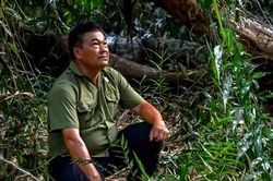 Cựu chiến binh Lê Danh Cương - người bạn của chim trời