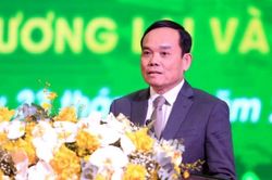 Phó Thủ tướng Trần Lưu Quang: Người đứng đầu phải làm gương, tử tế với pháp luật để tránh mất cán bộ