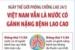 Việt Nam vẫn là nước có gánh nặng bệnh lao cao