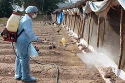 Bộ Y tế thông tin về trường hợp mắc Cúm A(H5N1) tại Khánh Hòa