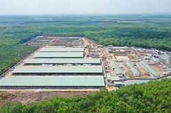Giá heo hơi tăng cao, BaF Việt Nam (BAF) đưa loạt trang trại quy mô lớn vào hoạt động