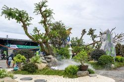 Ðộc đáo nghệ thuật thiết kế hoa viên, tiểu cảnh