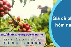 Giá cà phê hôm nay 25/3: Tăng trở lại, vượt mốc 95.000 đồng
