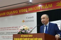 Tiềm năng và cơ hội xuất khẩu sản phẩm Việt Nam vào thị trường Canada