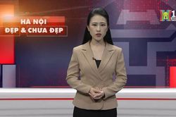 Cây trăm tuổi bị chặt hạ|Hà Nội đẹp và chưa đẹp |25/03/2024