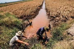 Lời cảnh báo từ những dòng sông