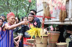 Ngày Văn hóa các dân tộc Việt Nam 2024 có gì đặc sắc?