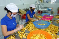 Đồng Nai: Sửa đổi nội dung chương trình khuyến công giai đoạn 2021-2025