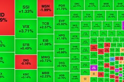 VN-Index lấy lại điểm số, VND vẫn khớp lệnh đột biến khi công ty gặp sự cố