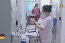 Bộ Y tế khuyến cáo các địa phương phòng, chống cúm A/H5N1