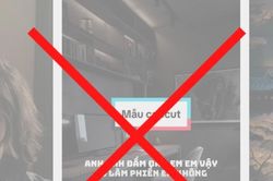 Nhạc chế phản cảm trên TikTok