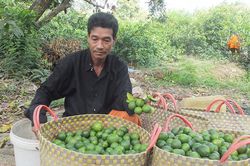 Tích cực tuyên truyền, vận động người dân áp dụng khoa học kỹ thuật vào sản xuất nông nghiệp