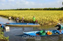 Phát triển kinh tế gắn với giảm nghèo