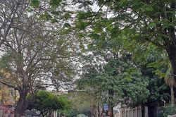 Hải Phòng: Cải tạo vỉa hè, chỉnh trang 18 tuyến phố trung tâm