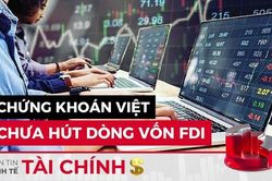 Bản tin Kinh tế Tài chính | 29/03/2024
