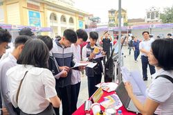 Thanh niên thất nghiệp vẫn ở mức cao