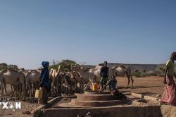 WB tài trợ 340 triệu USD cho người dân Ethiopia bị ảnh hưởng bởi hạn hán