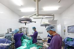 Bệnh viện Việt Đức mua sắm vật tư y tế trong gói thầu hơn 400 tỷ đồng