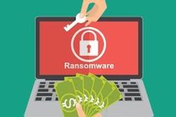 Lực lượng kỹ thuật đang khắc phục sự cố tấn công ransomware vào hệ thống PVOIL