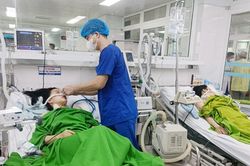 Hai chị em ở Phú Thọ nguy kịch vì ăn nhầm phải lá ngón