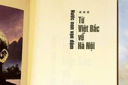 Năm năm trong một sử người tuyệt đẹp