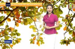 Dự báo thời tiết | 03/04/2024