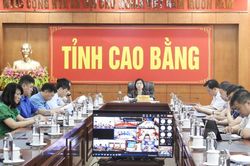 Hội nghị trực tuyến về triển khai kế hoạch thực hiện quy hoạch phát triển điện lực quốc gia thời kỳ 2021 - 2030