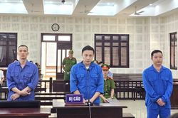 Buôn lậu trăm tấn thuốc Bắc từ Trung Quốc về Đà Nẵng