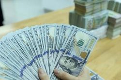 Cần tạo niềm tin ở thị trường, tránh 'găm giữ' ngoại tệ