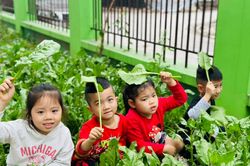 40,9% trẻ em vùng khó khăn chưa được tiếp cận với giáo dục mầm non