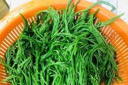 Loại rau dại có mùi hôi nồng nặc nay 'nâng tầm' đặc sản giá 100.000 đồng/kg