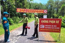 Tuyệt đối không được chủ quan, lơ là, mất cảnh giác trong phòng cháy, chữa cháy rừng