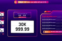 'Nghẹt thở' màn đấu giá biển số siêu VIP 30K-999.99, chốt giá 30,655 tỷ đồng