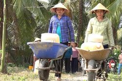 Phụ nữ Bến Tre chống xâm nhập mặn bằng tích trữ, lấy nước ngọt ở ao