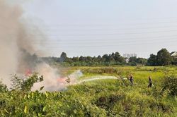 Khống chế đám cháy bãi cỏ hàng trăm mét vuông tại phường Hiệp Hòa