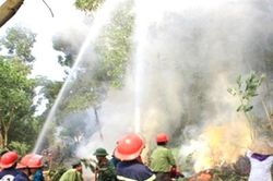Cấp bách phòng chống cháy rừng
