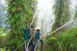 Cà Mau: Tăng cường công tác phòng cháy, chữa cháy rừng