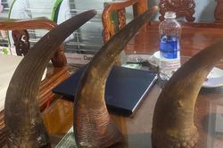 Bắt giữ nhóm đối tượng lừa bán đá thiên thạch, sừng tê giác
