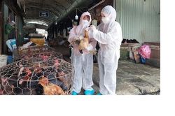 Phát hiện bệnh nhân đầu tiên mắc cúm A/H9 tại Việt Nam