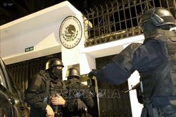 OAS họp khẩn về sự cố ngoại giao Mexico - Ecuador