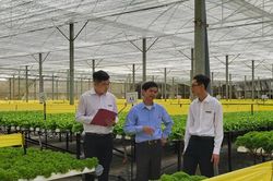90 tổ chức tín dụng và gần 1.100 quỹ tín dụng nhân dân cho vay lĩnh vực nông nghiệp nông thôn