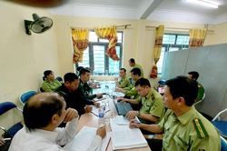 Vi phạm lâm luật nguy cơ diễn biến phức tạp