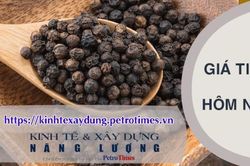 Giá tiêu hôm nay 8/4: Tăng nhẹ tại Gia Lai, giảm tại Đắk Nông