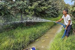 Phòng chống hạn, mặn: Giải pháp hiệu quả bảo vệ sản xuất